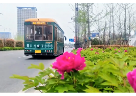 牡丹开出文旅新意 k8凯发一触即发助洛阳迎盛会